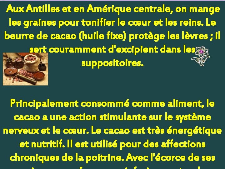 Aux Antilles et en Amérique centrale, on mange les graines pour tonifier le cœur