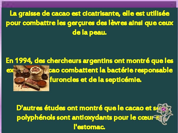 La graisse de cacao est cicatrisante, elle est utilisée pour combattre les gerçures des