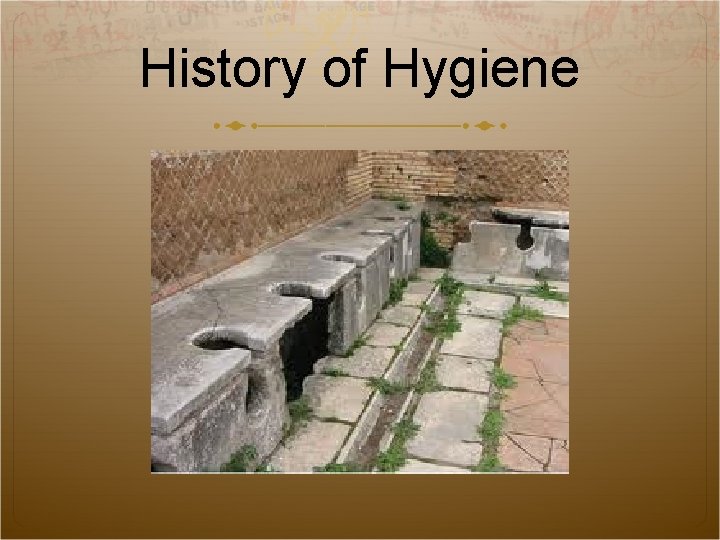 History of Hygiene 