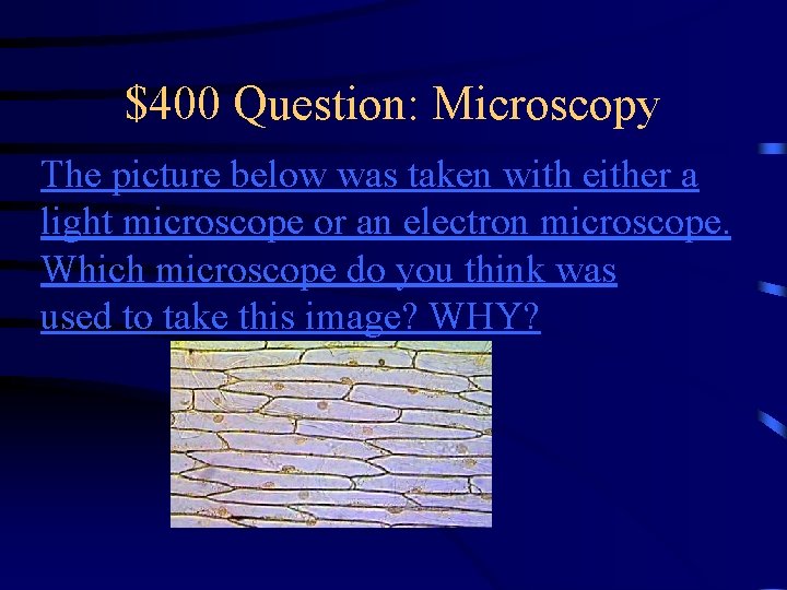 $400 Question: Microscopy The picture below was taken with either a light microscope or