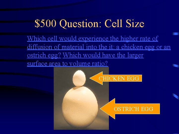 $500 Question: Cell Size Which cell would experience the higher rate of diffusion of