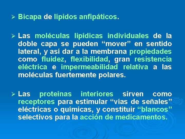 Ø Bicapa de lípidos anfipáticos. Ø Las moléculas lipídicas individuales de la doble capa