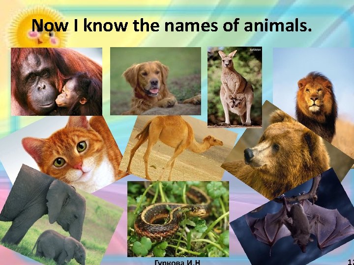 Now I know the names of animals. 12 