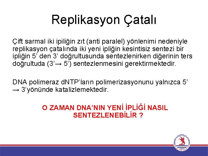 Replikasyon Çatalı Çift sarmal iki ipiliğin zıt (anti paralel) yönlenimi nedeniyle replikasyon çatalında iki
