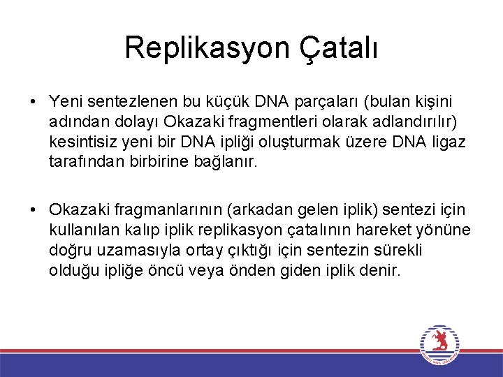 Replikasyon Çatalı • Yeni sentezlenen bu küçük DNA parçaları (bulan kişini adından dolayı Okazaki