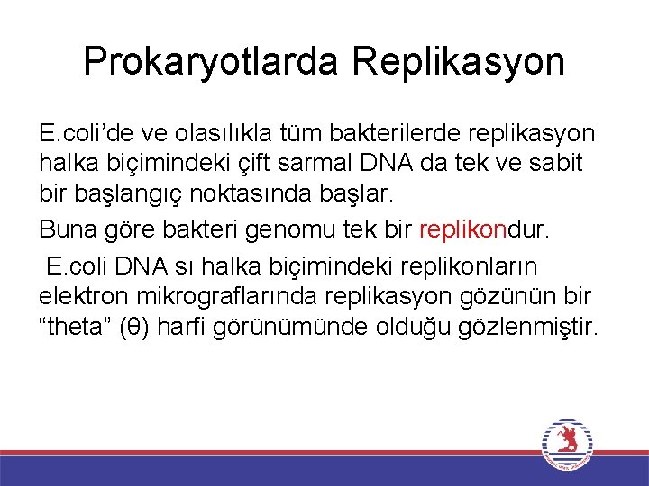 Prokaryotlarda Replikasyon E. coli’de ve olasılıkla tüm bakterilerde replikasyon halka biçimindeki çift sarmal DNA