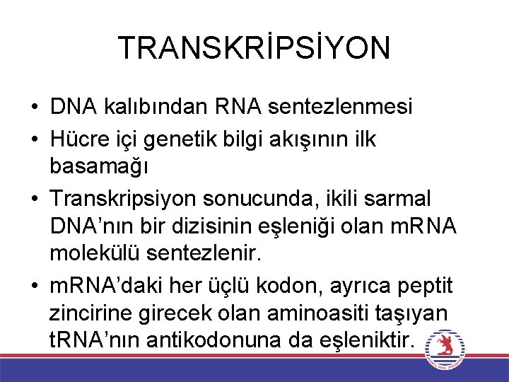 TRANSKRİPSİYON • DNA kalıbından RNA sentezlenmesi • Hücre içi genetik bilgi akışının ilk basamağı