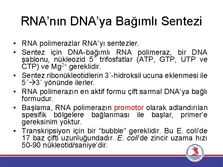 RNA’nın DNA’ya Bağımlı Sentezi • RNA polimerazlar RNA’yı sentezler. • Sentez için DNA-bağımlı RNA