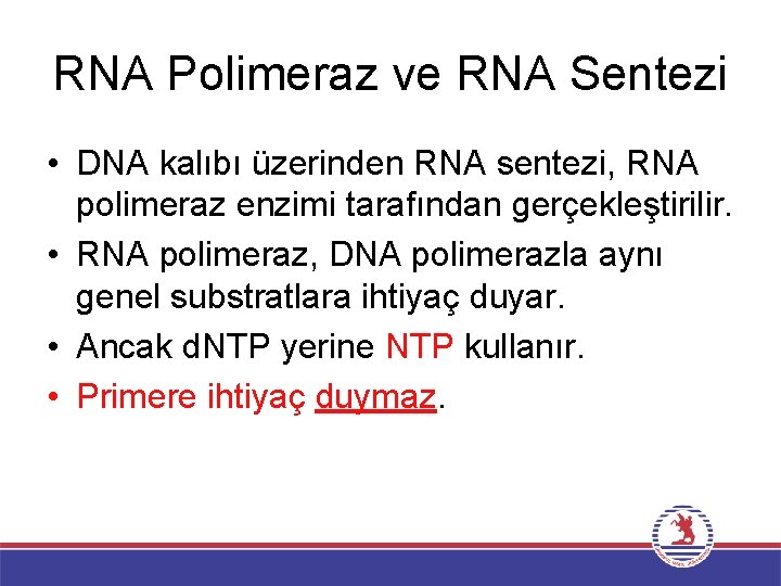 RNA Polimeraz ve RNA Sentezi • DNA kalıbı üzerinden RNA sentezi, RNA polimeraz enzimi