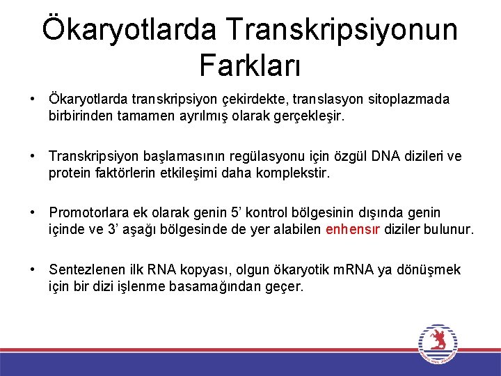 Ökaryotlarda Transkripsiyonun Farkları • Ökaryotlarda transkripsiyon çekirdekte, translasyon sitoplazmada birbirinden tamamen ayrılmış olarak gerçekleşir.