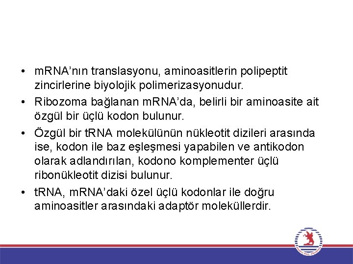  • m. RNA’nın translasyonu, aminoasitlerin polipeptit zincirlerine biyolojik polimerizasyonudur. • Ribozoma bağlanan m.