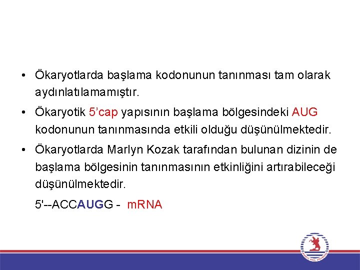  • Ökaryotlarda başlama kodonunun tanınması tam olarak aydınlatılamamıştır. • Ökaryotik 5’cap yapısının başlama