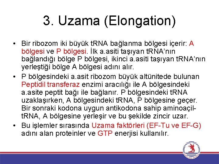 3. Uzama (Elongation) • Bir ribozom iki büyük t. RNA bağlanma bölgesi içerir: A