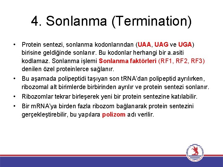 4. Sonlanma (Termination) • Protein sentezi, sonlanma kodonlarından (UAA, UAG ve UGA) birisine geldiğinde