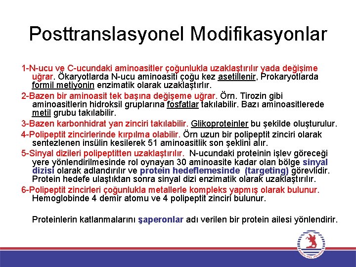 Posttranslasyonel Modifikasyonlar 1 -N-ucu ve C-ucundaki aminoasitler çoğunlukla uzaklaştırılır yada değişime uğrar. Ökaryotlarda N-ucu