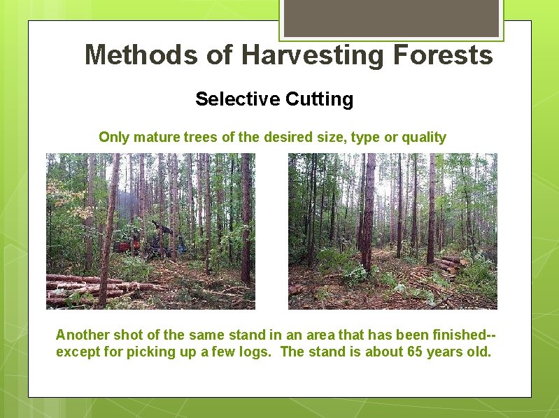 Methods of Harvesting Forests Selective Cutting Only mature trees of the desired size, type