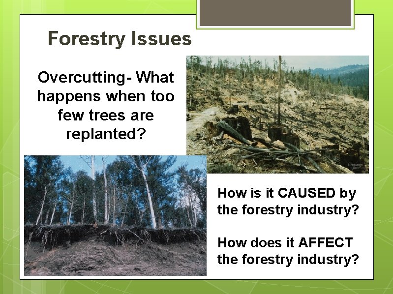 Forestry Issues Overcutting- What happens when too few trees are replanted? How is it