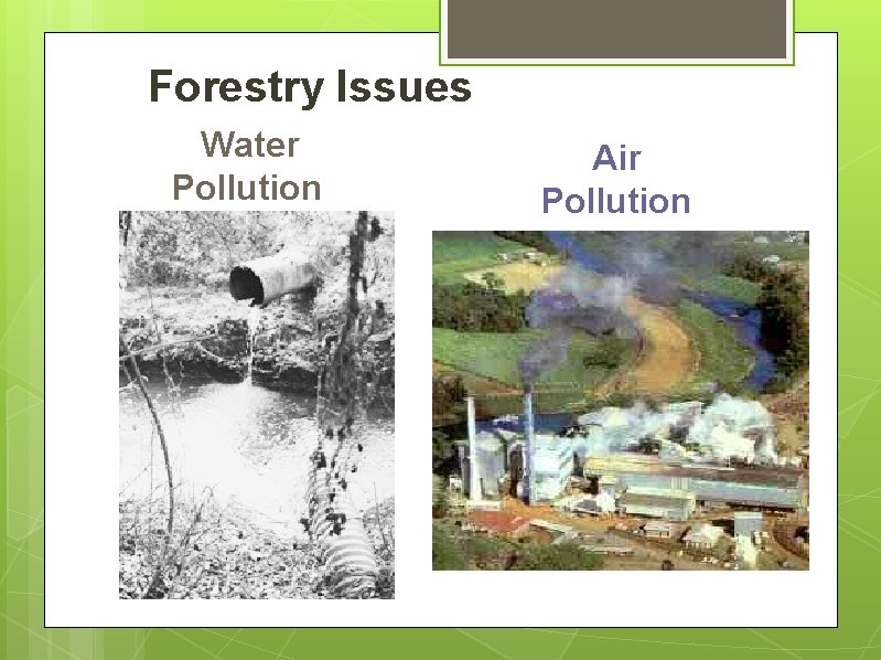 Forestry Issues Water Pollution Air Pollution 