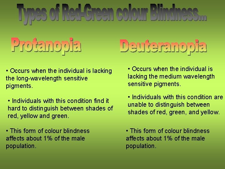  • Occurs when the individual is lacking the long-wavelength sensitive pigments. • Individuals