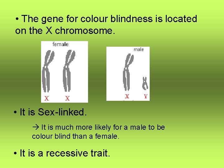  • The gene for colour blindness is located on the X chromosome. •