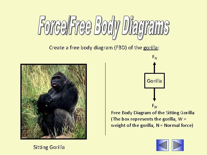 Create a free body diagram (FBD) of the gorilla: FN Gorilla FW Free Body