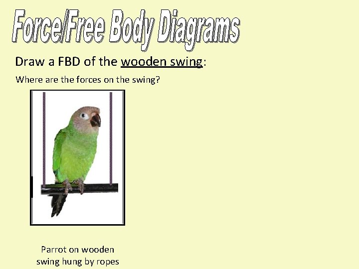 Draw a FBD of the wooden swing: Where are the forces on the swing?
