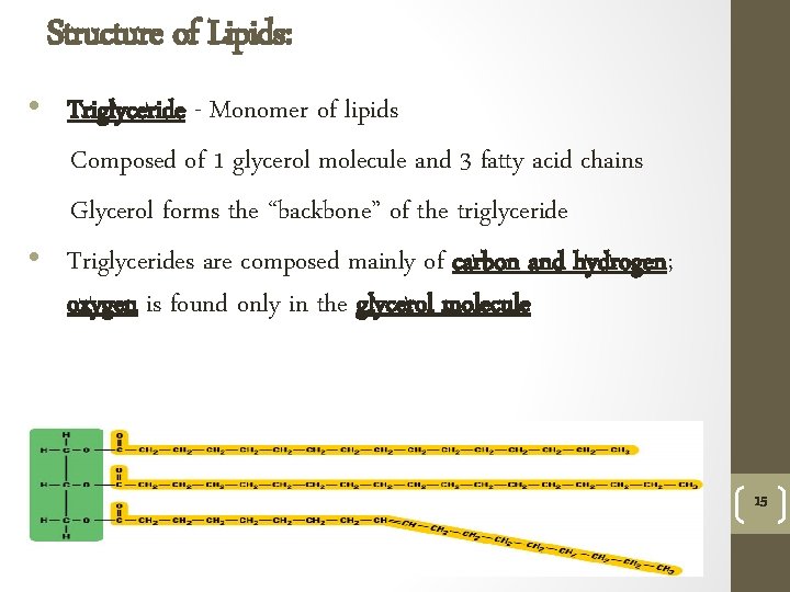 Structure of Lipids: • Triglyceride - Monomer of lipids Composed of 1 glycerol molecule