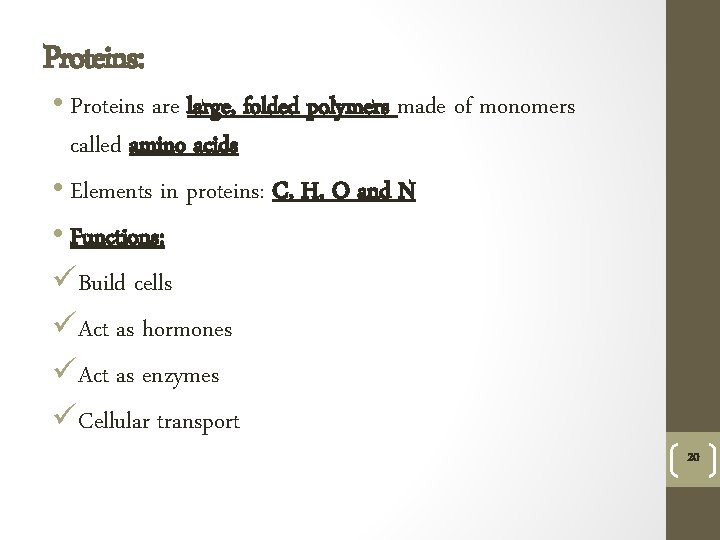 Proteins: • Proteins are large, folded polymers made of monomers called amino acids •