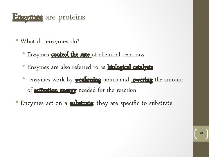 Enzymes are proteins • What do enzymes do? • Enzymes control the rate of