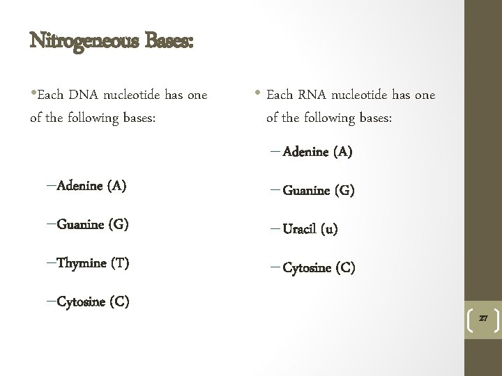 Nitrogeneous Bases: • Each DNA nucleotide has one of the following bases: • Each