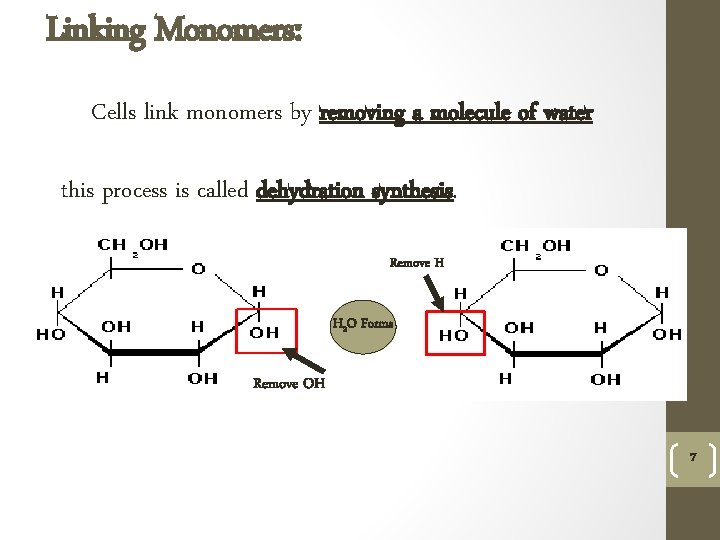 Linking Monomers: Cells link monomers by removing a molecule of water this process is
