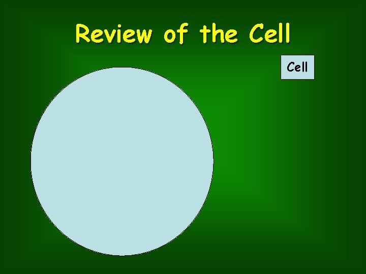 Review of the Cell 