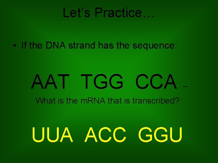 Let’s Practice… • If the DNA strand has the sequence: AAT TGG CCA –