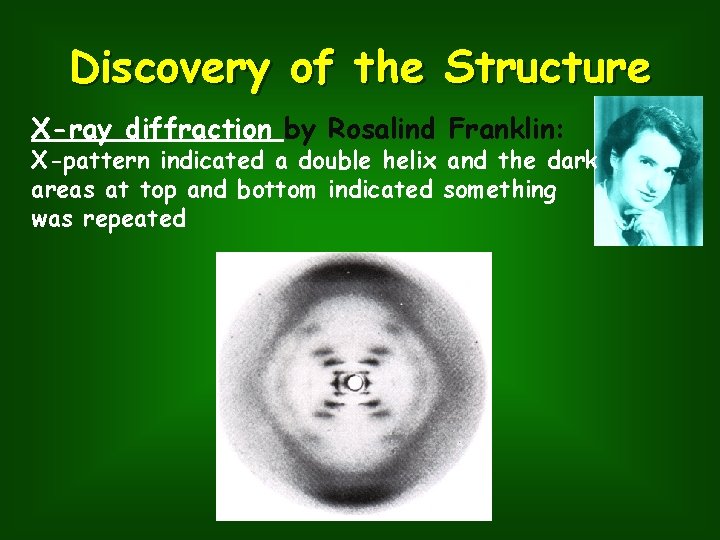 Discovery of the Structure X-ray diffraction by Rosalind Franklin: X-pattern indicated a double helix
