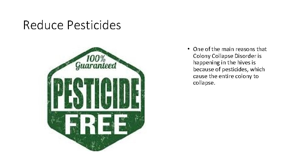 Reduce Pesticides • One of the main reasons that Colony Collapse Disorder is happening