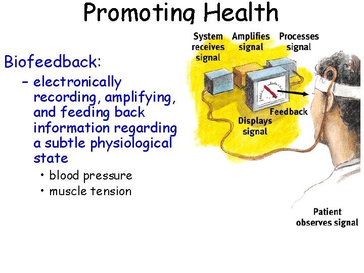 Promoting Health Biofeedback: – electronically recording, amplifying, and feeding back information regarding a subtle