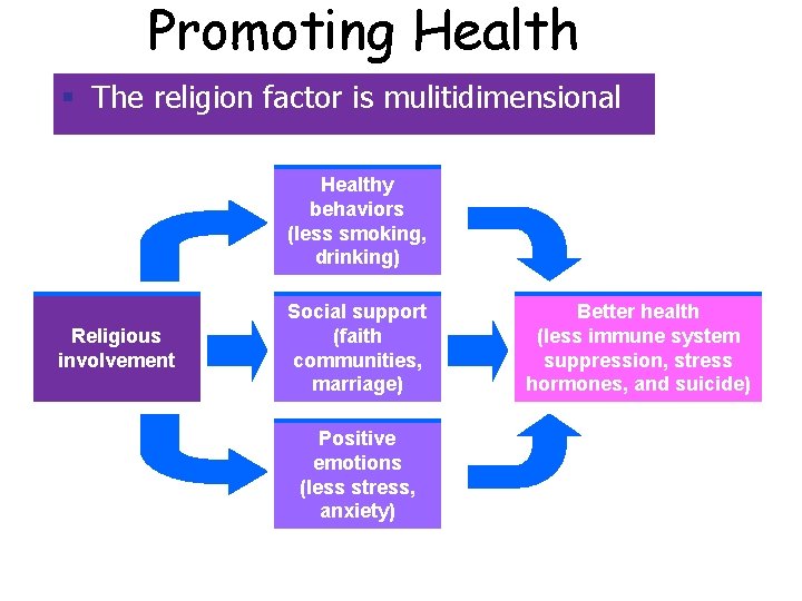 Promoting Health § The religion factor is mulitidimensional Healthy behaviors (less smoking, drinking) Religious