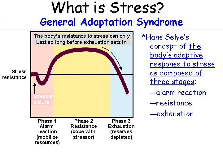 What is Stress? General Adaptation Syndrome The body’s resistance to stress can only Last