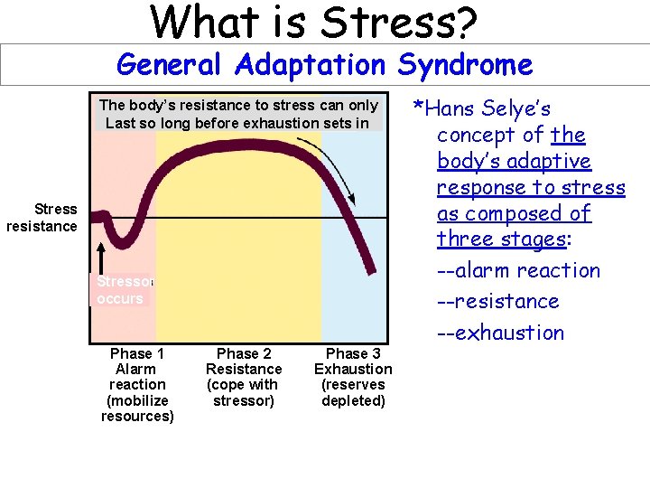 What is Stress? General Adaptation Syndrome The body’s resistance to stress can only Last What is Stress? General Adaptation Syndrome The body’s resistance to stress can only Last