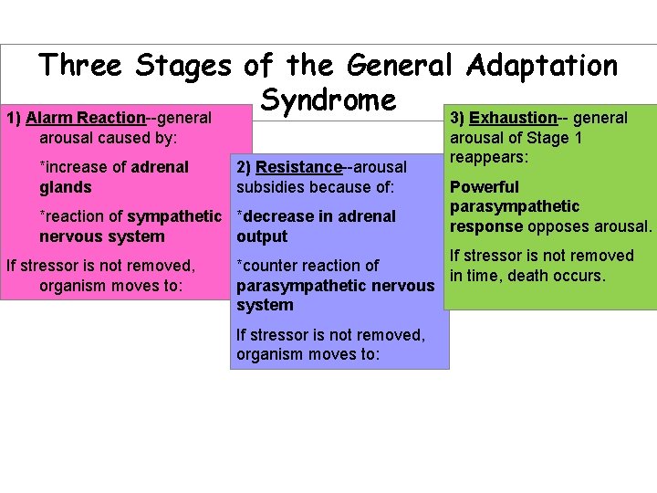 Three Stages of the General Adaptation Syndrome 1) Alarm Reaction--general 3) Exhaustion-- general arousal