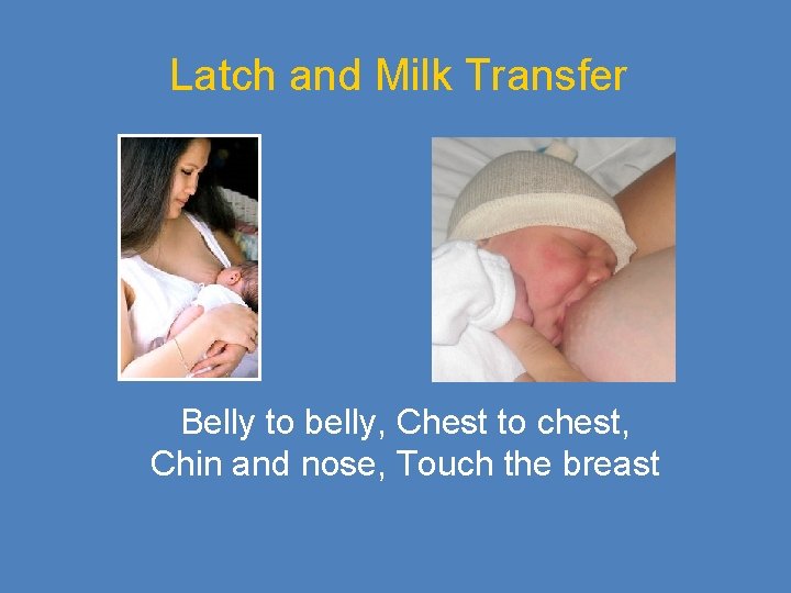 Latch and Milk Transfer Belly to belly, Chest to chest, Chin and nose, Touch