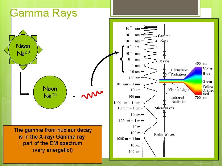 Gamma Rays Neon Ne 20 + The gamma from nuclear decay is in the