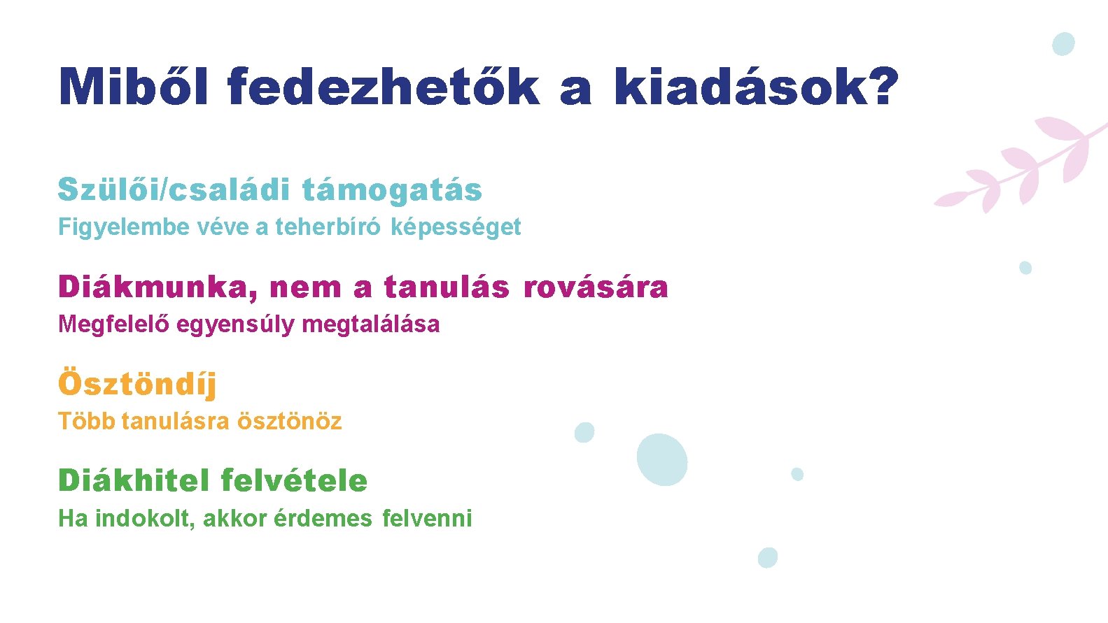 Miből fedezhetők a kiadások? Szülői/családi támogatás Figyelembe véve a teherbíró képességet Diákmunka, nem a