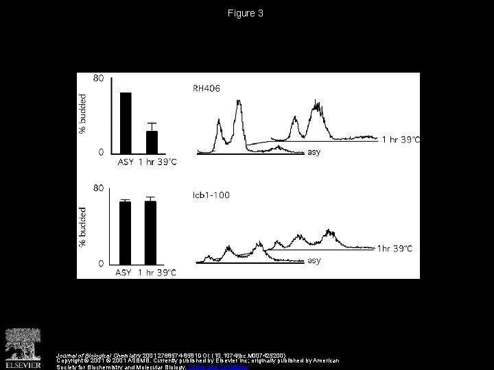 Figure 3 Journal of Biological Chemistry 2001 2768574 -8581 DOI: (10. 1074/jbc. M 007425200)