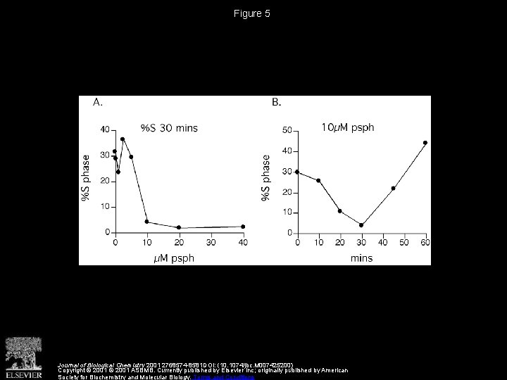 Figure 5 Journal of Biological Chemistry 2001 2768574 -8581 DOI: (10. 1074/jbc. M 007425200)