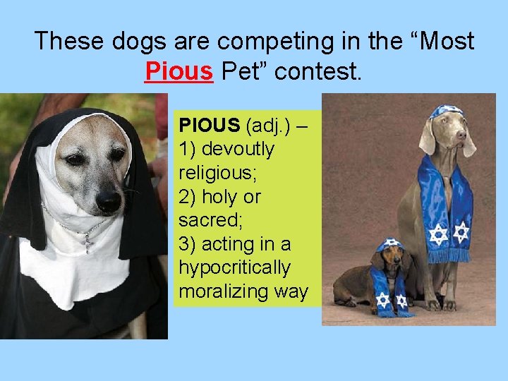 These dogs are competing in the “Most Pious Pet” contest. PIOUS (adj. ) –