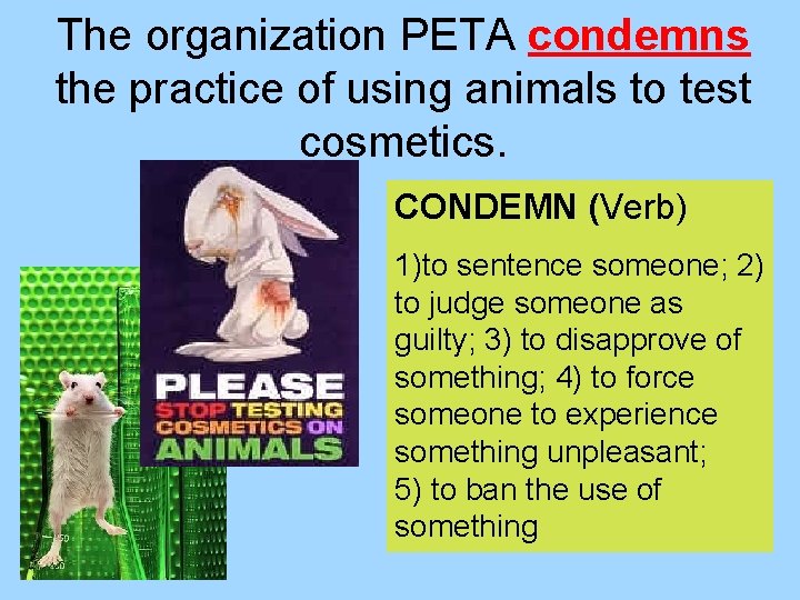The organization PETA condemns the practice of using animals to test cosmetics. CONDEMN (Verb)