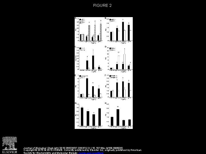 FIGURE 2 Journal of Biological Chemistry 2010 28523537 -23547 DOI: (10. 1074/jbc. M 109.