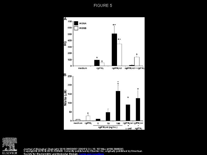 FIGURE 5 Journal of Biological Chemistry 2010 28523537 -23547 DOI: (10. 1074/jbc. M 109.