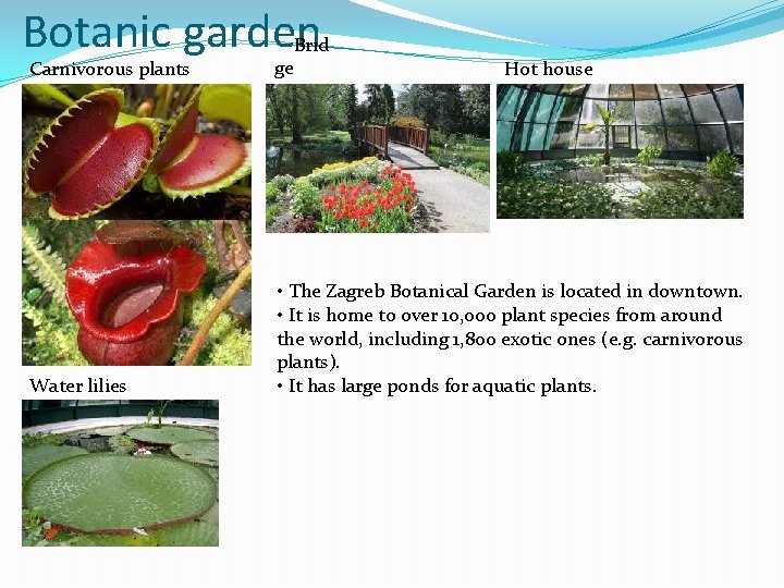 Botanic garden Brid Carnivorous plants ge Water lilies • The Zagreb Botanical Garden is